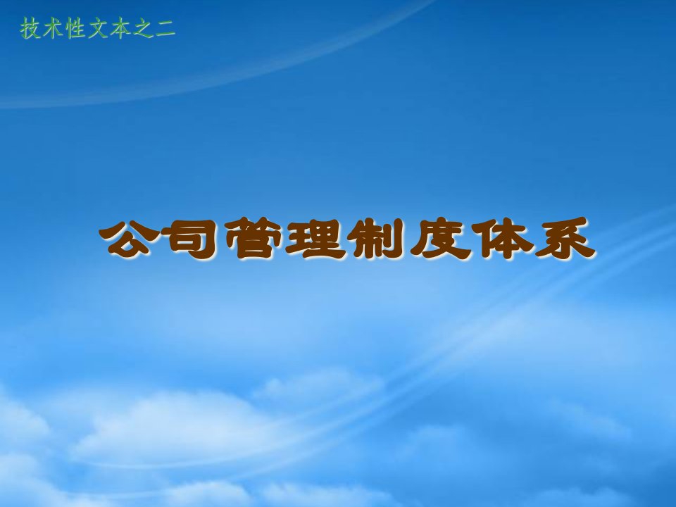 公司管理制度体系、标准、程序