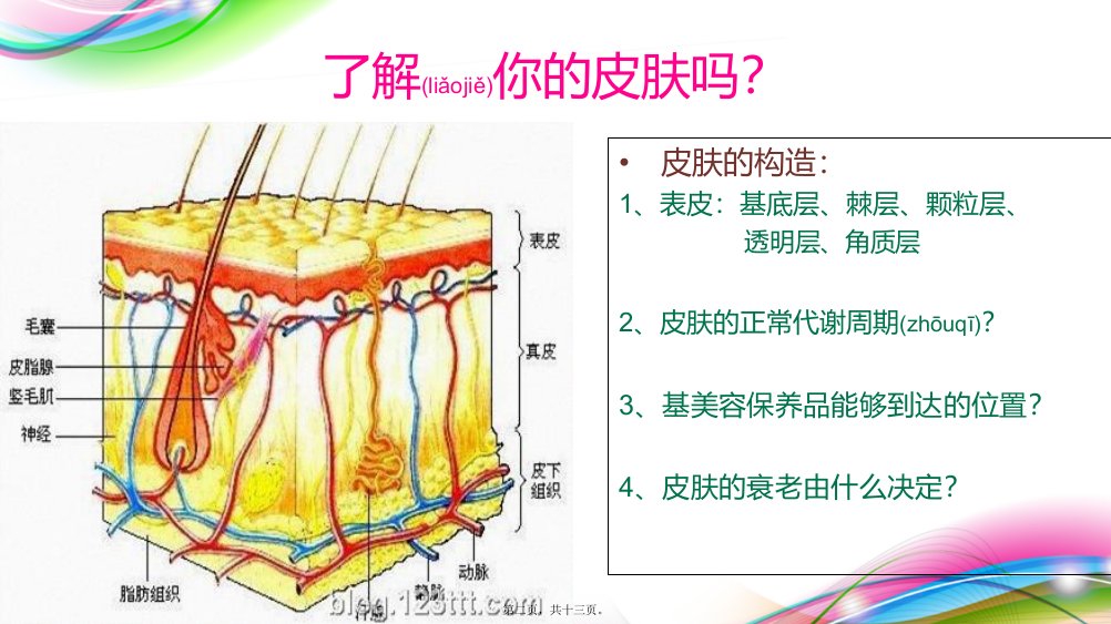 医学专题微针美疗