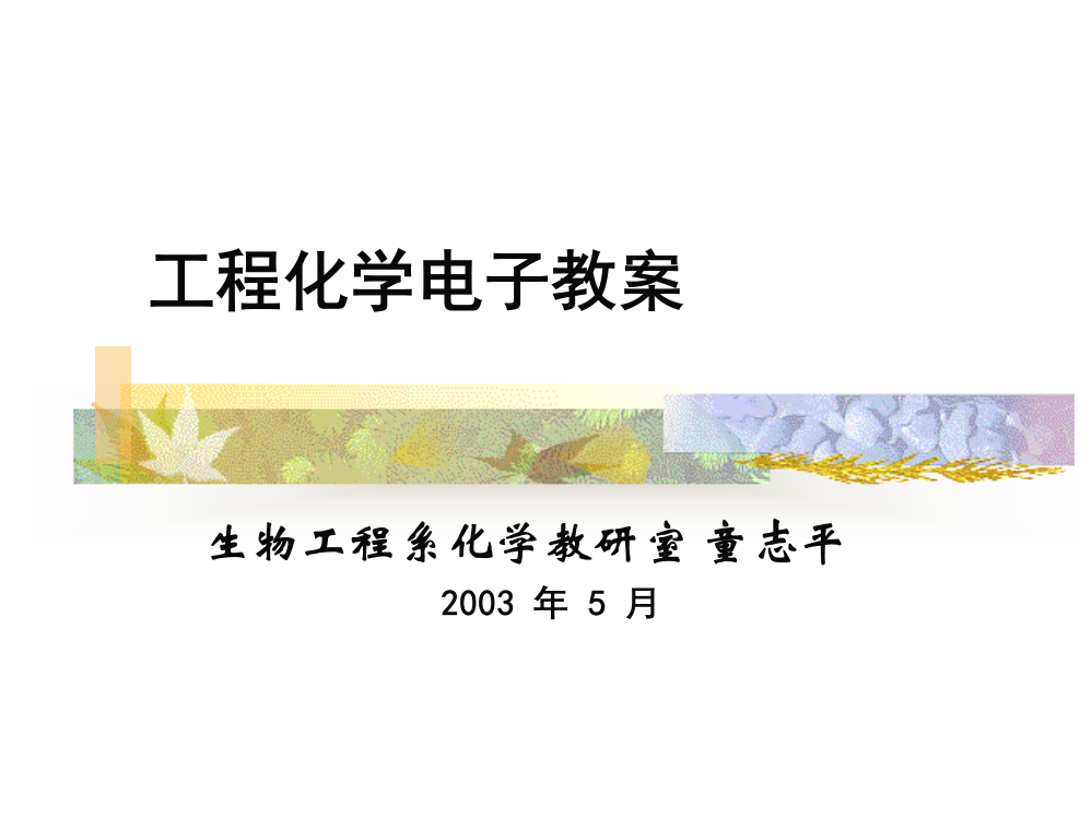 工程化学电子教案生物工程系化学教研室童志平2003