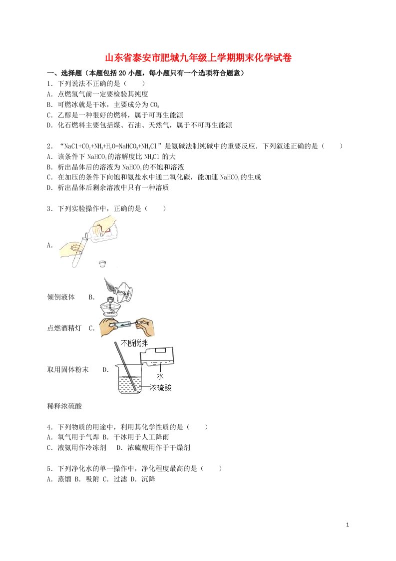 山东省泰安市肥城市九级化学上学期期末试题（含解析）