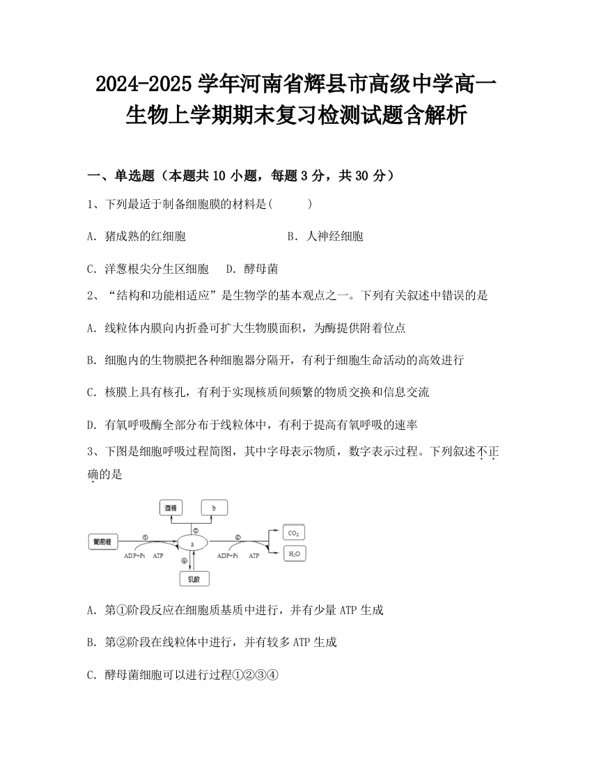 2024-2025学年河南省辉县市高级中学高一生物上学期期末复习检测试题含解析