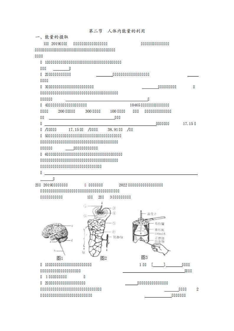 中考生物真题分类第二节人体内能量的利用【含答案】