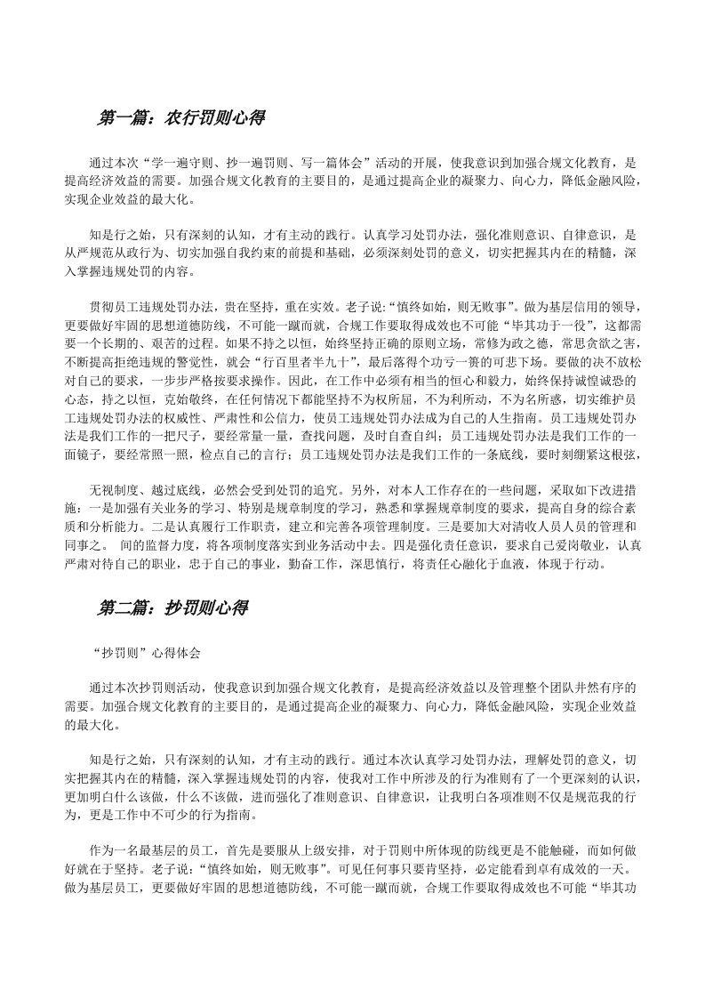 农行罚则心得[修改版]