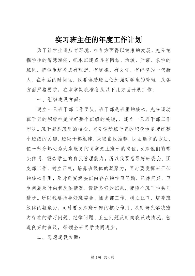 5实习班主任的年度工作计划