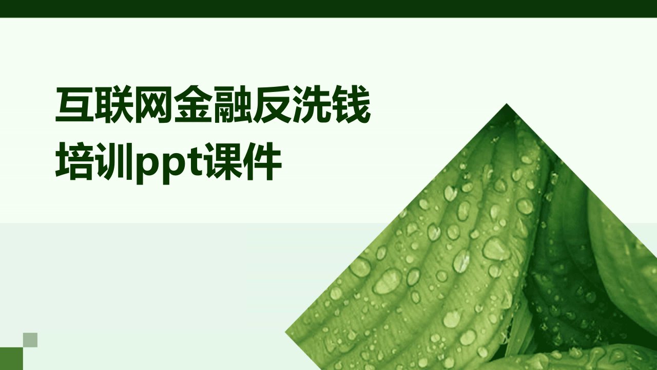 互联网金融反洗钱培训ppt课件