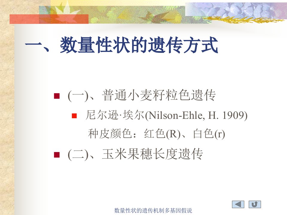 数量性状的遗传机制多基因假说课件