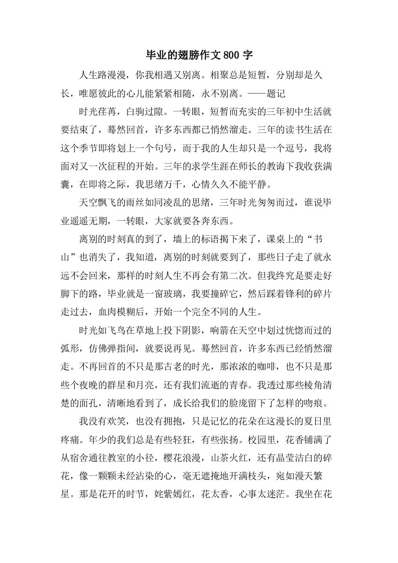 毕业的翅膀作文800字