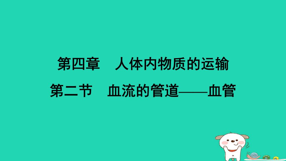 福建省2024七年级生物下册第四单元生物圈中的人第四章人体内物质的运输第二节血流的管道__血管课件新版新人教版