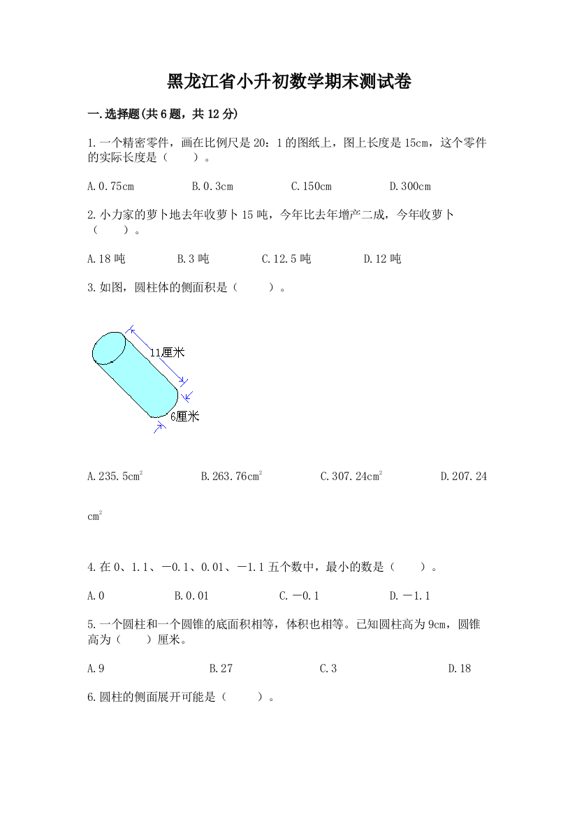 黑龙江省小升初数学期末测试卷一套