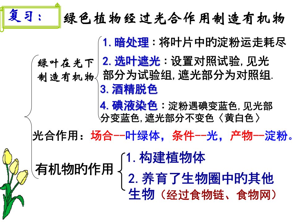 七年级-生物上册-第五章第一节植物利用二氧化碳释放氧气-人教版省名师优质课赛课获奖课件市赛课一等奖课