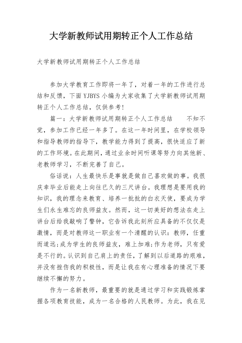 大学新教师试用期转正个人工作总结