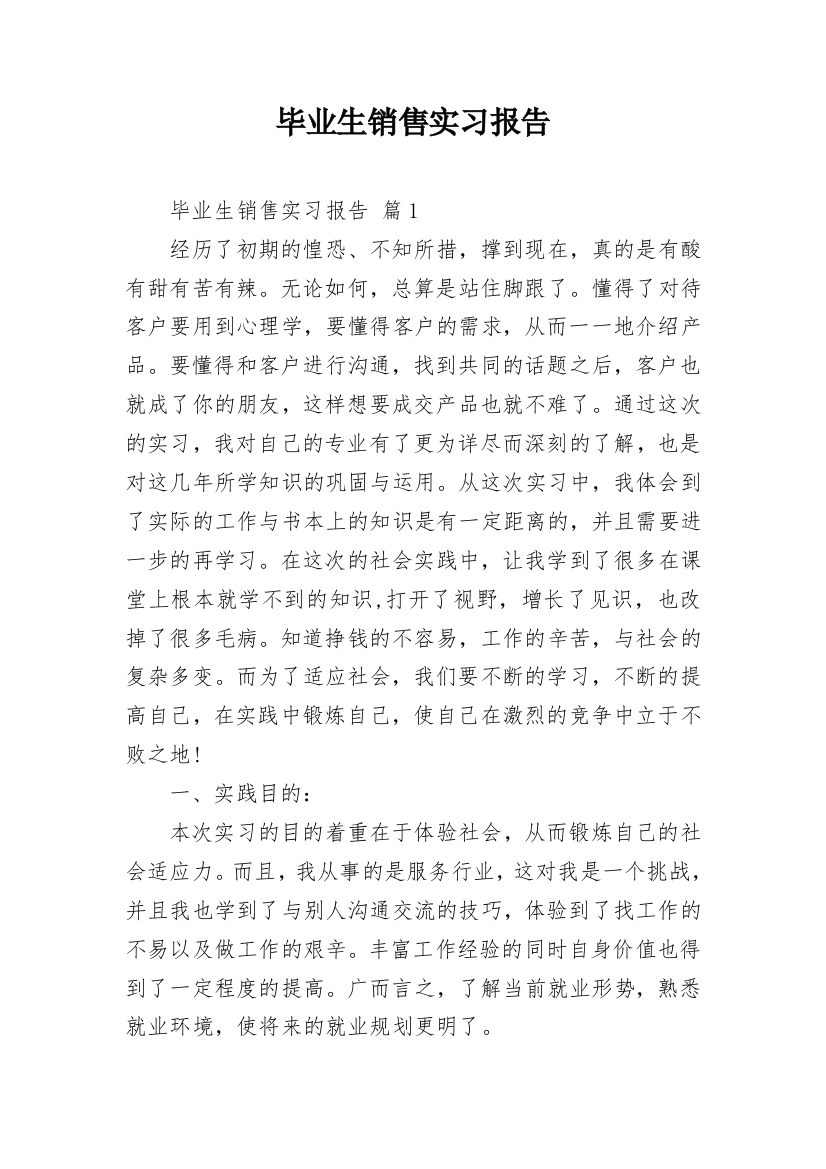 毕业生销售实习报告_2