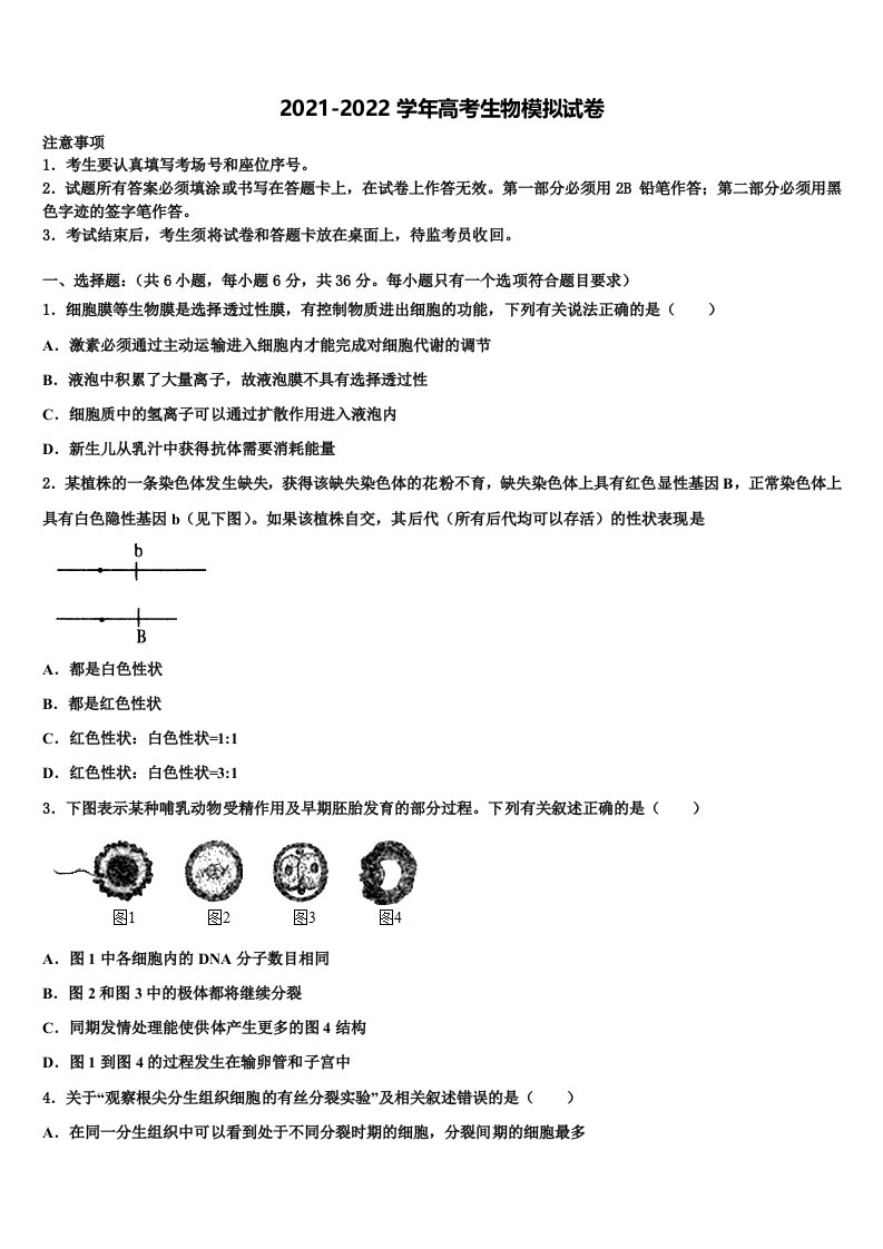 河北省石家庄市精英中学2021-2022学年高三（最后冲刺）生物试卷含解析