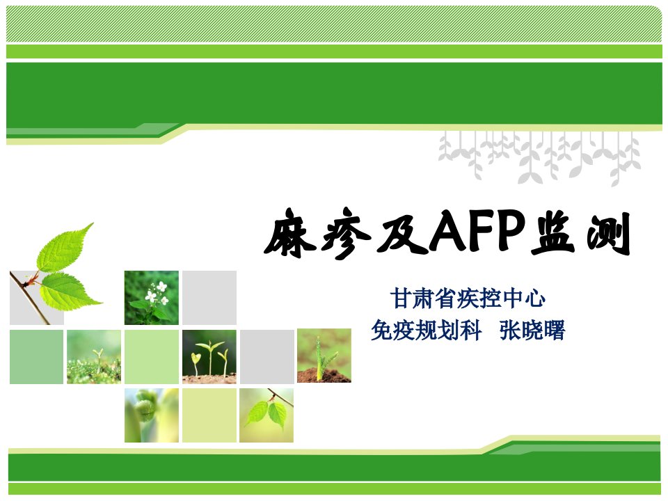 AFP及麻疹监测