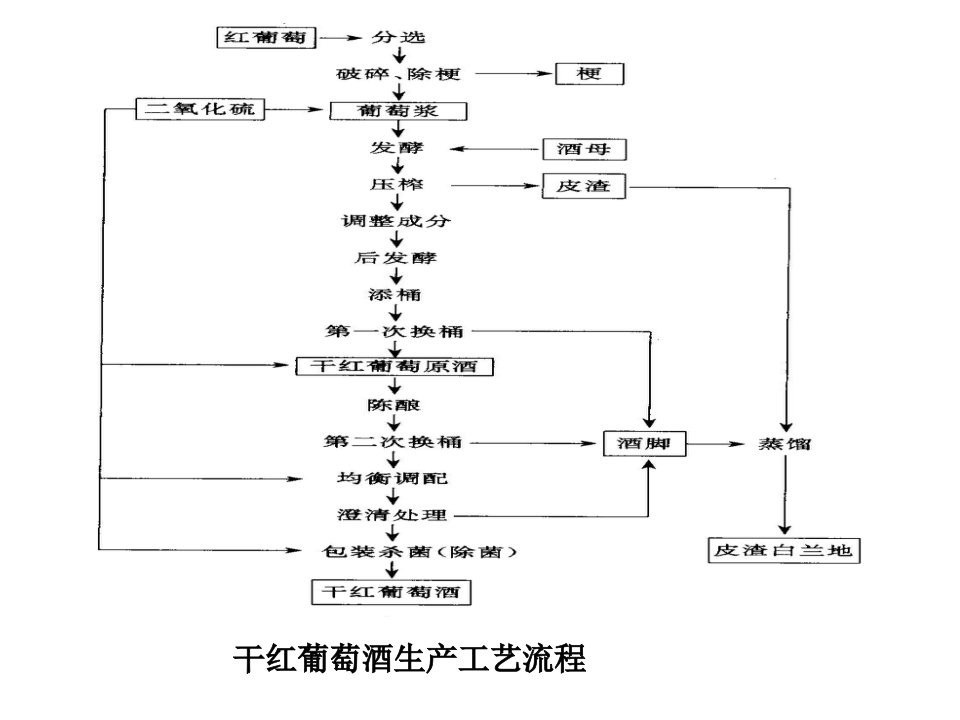 葡萄酒工艺流程图课件