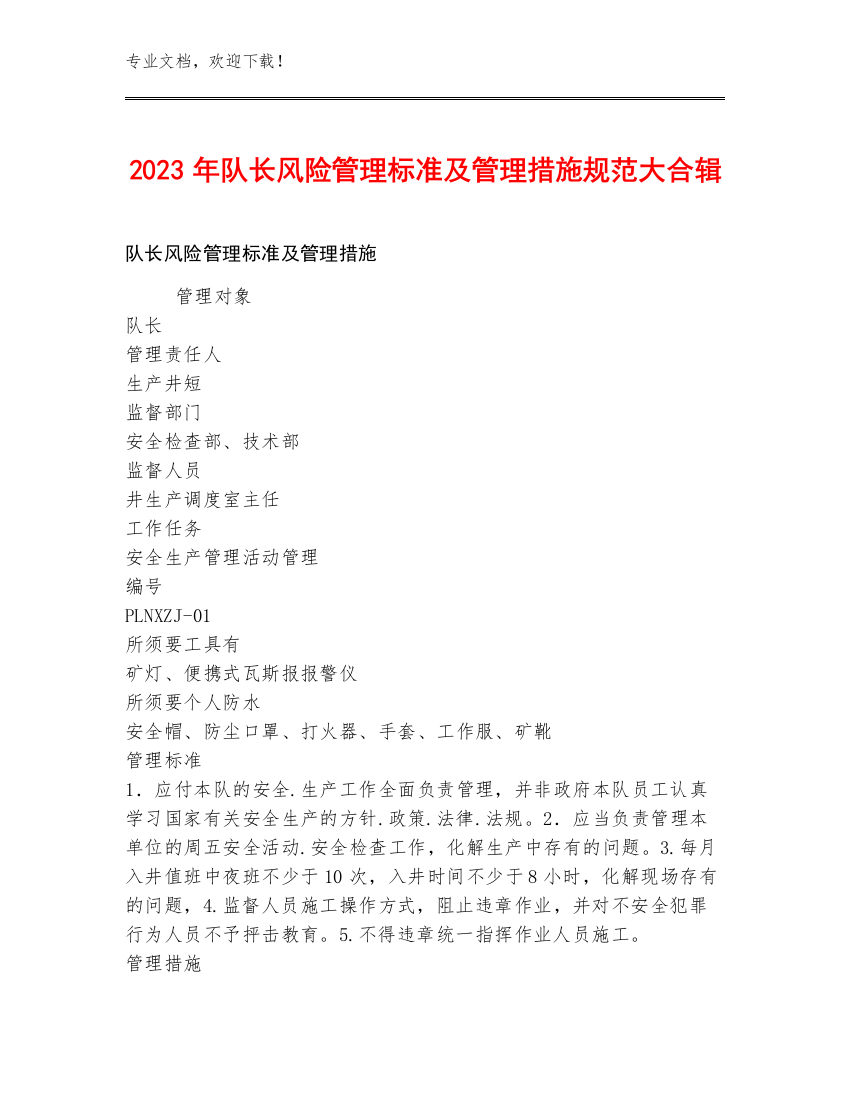 2023年队长风险管理标准及管理措施规范大合辑