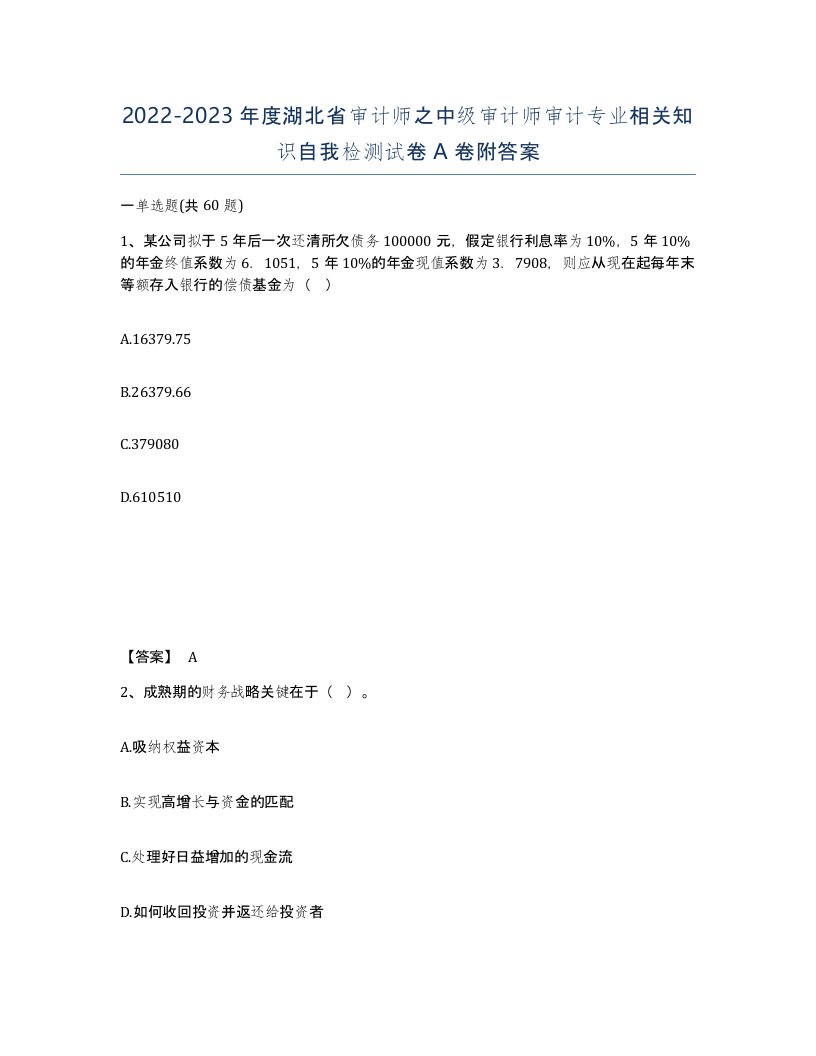 2022-2023年度湖北省审计师之中级审计师审计专业相关知识自我检测试卷A卷附答案