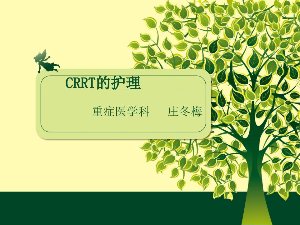 CRRT的护理PPT课件