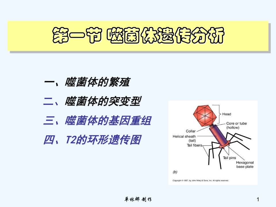 第六章细菌和病毒的遗传作图