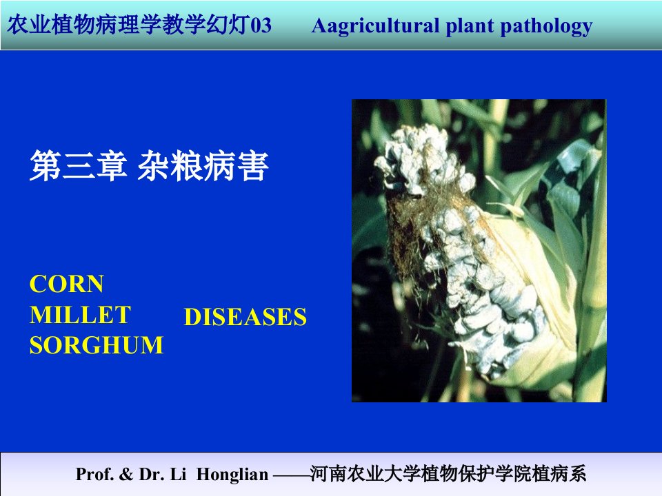 农业植物病理学杂粮病害