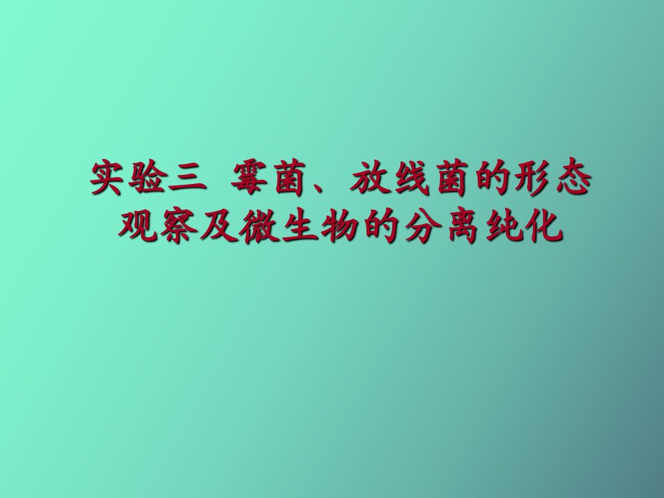 实验三霉菌、放线菌及土壤微生