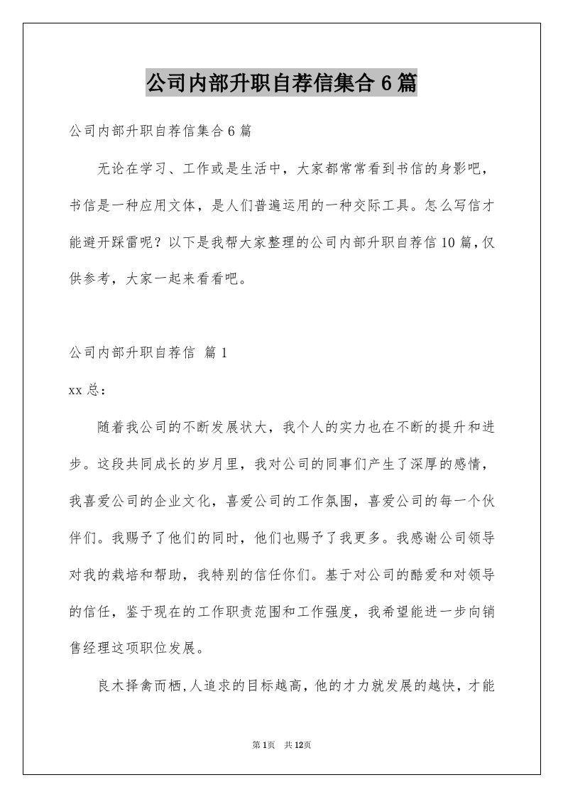 公司内部升职自荐信集合6篇