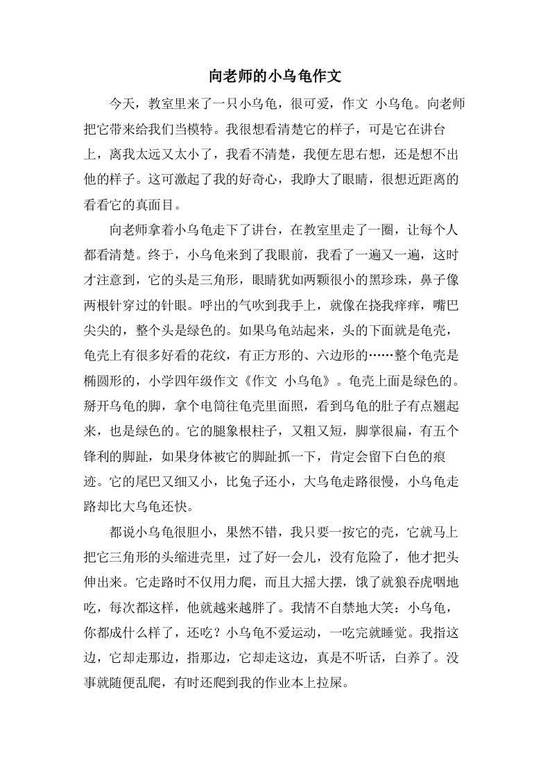 向老师的小乌龟作文