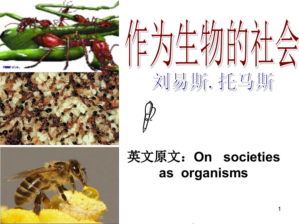 正式《作为生物的社会》公开课ppt课件