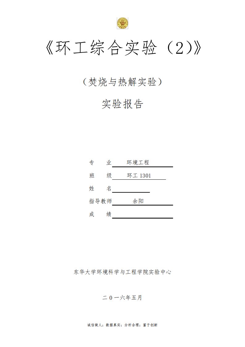 焚烧与热解-东华大学环境学院大三实验报告详解