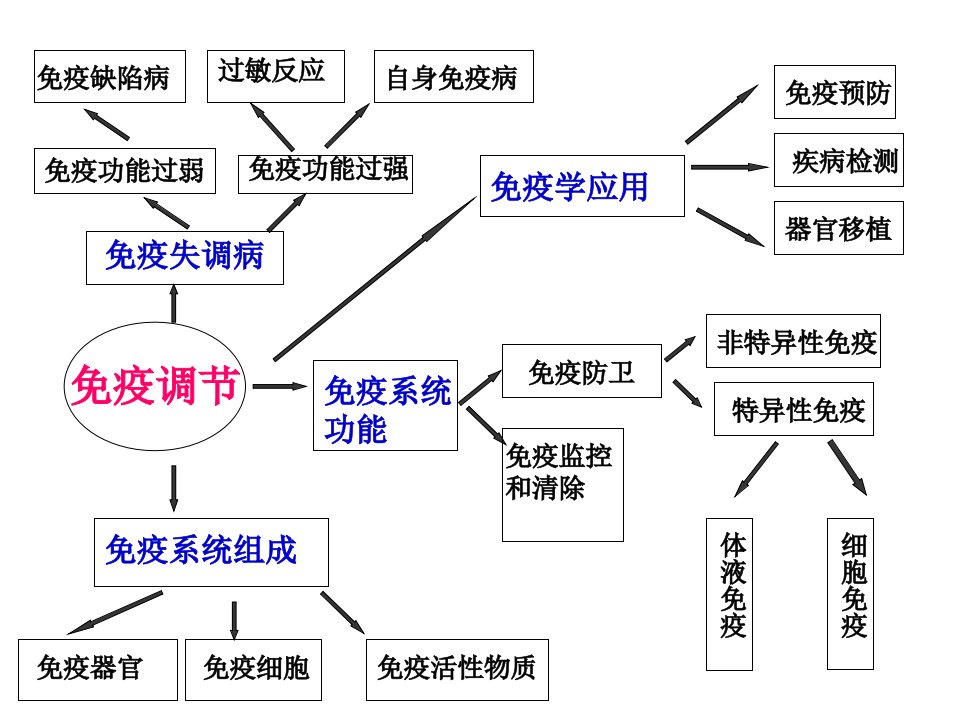 免疫调节复习公开课ppt课件