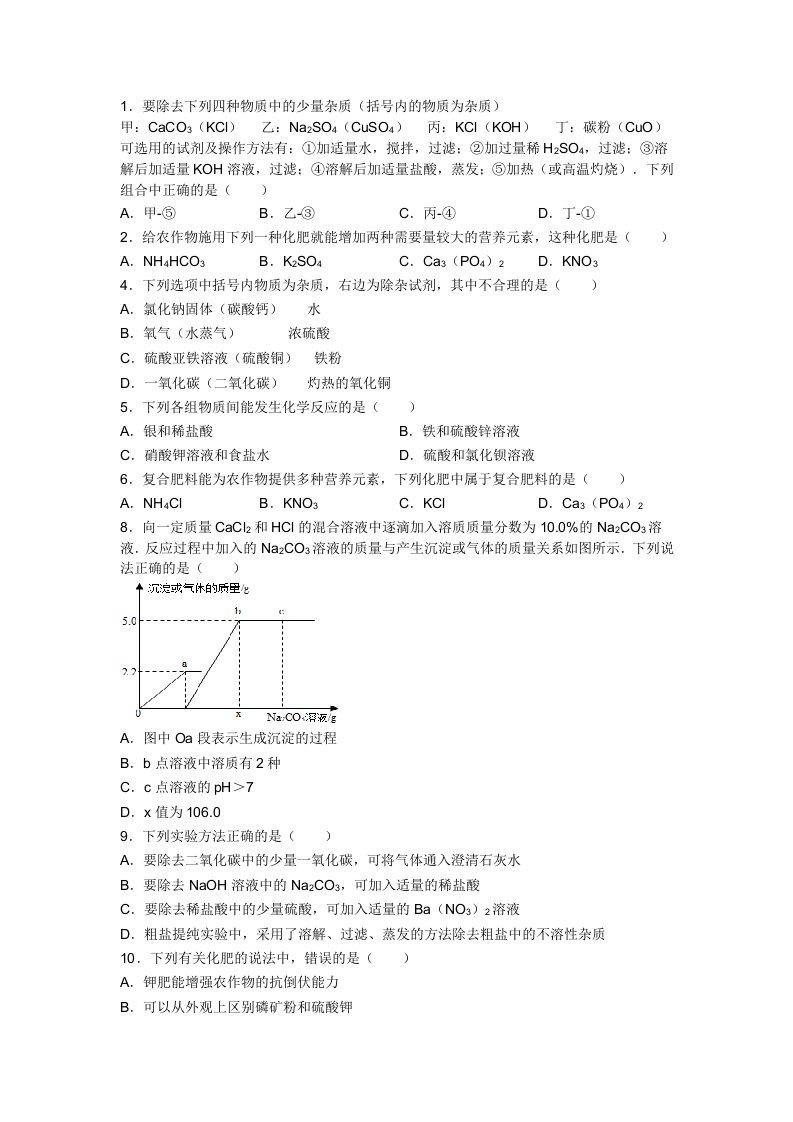 初三化学《盐化肥》之中考真题