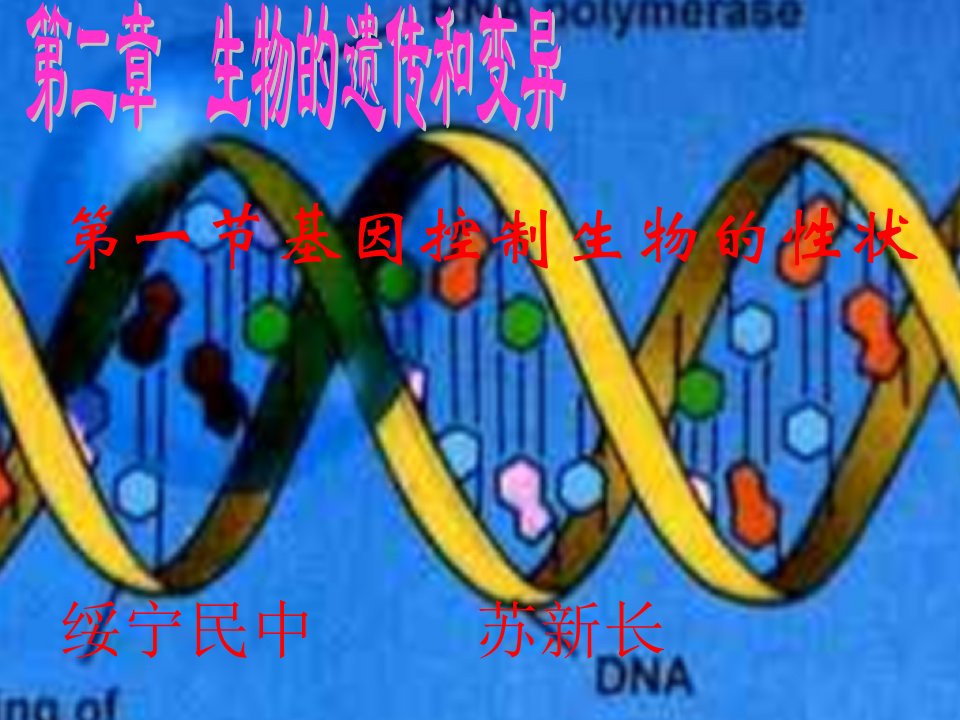 第二章第一节基因控制生物的性状