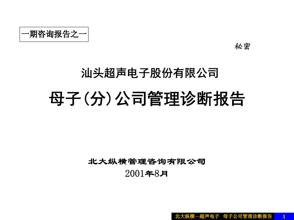 母子公司管理诊断报告