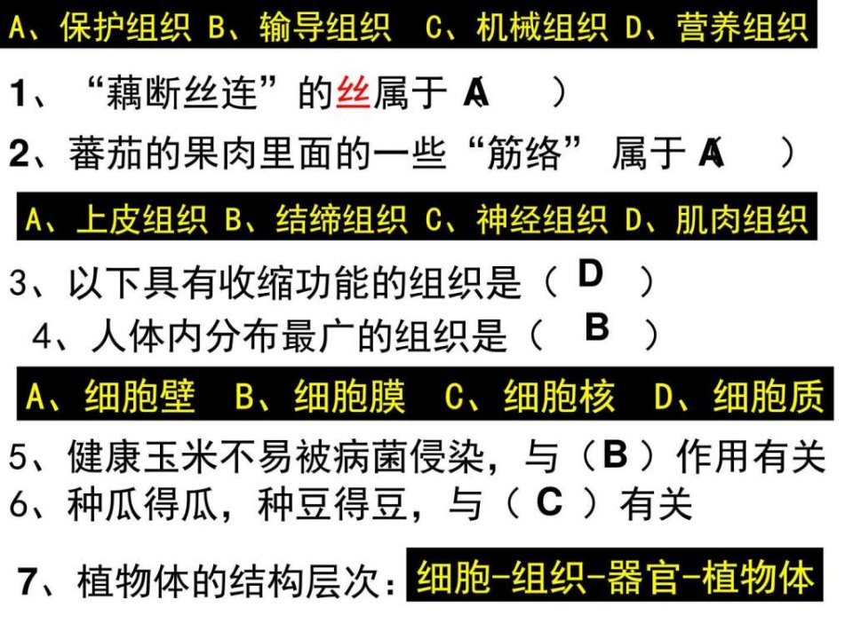 生命系统的构成层次2-浙教版