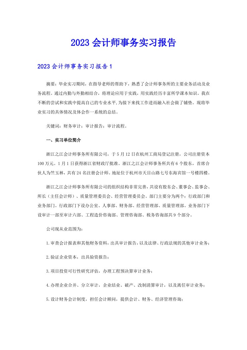 2023会计师事务实习报告