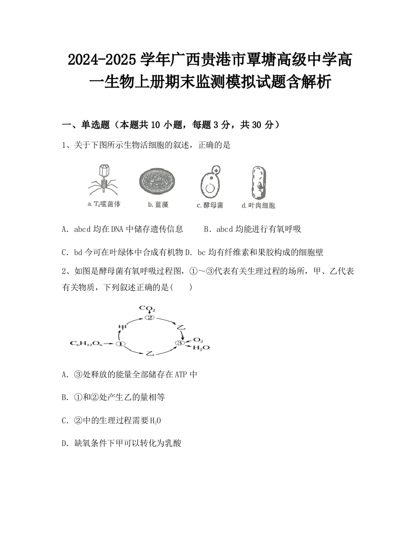 2024-2025学年广西贵港市覃塘高级中学高一生物上册期末监测模拟试题含解析