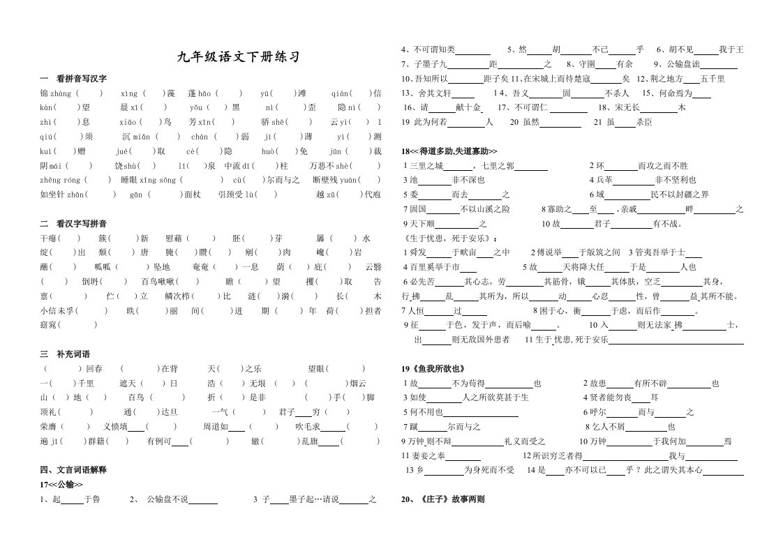 九年级语文下册练习