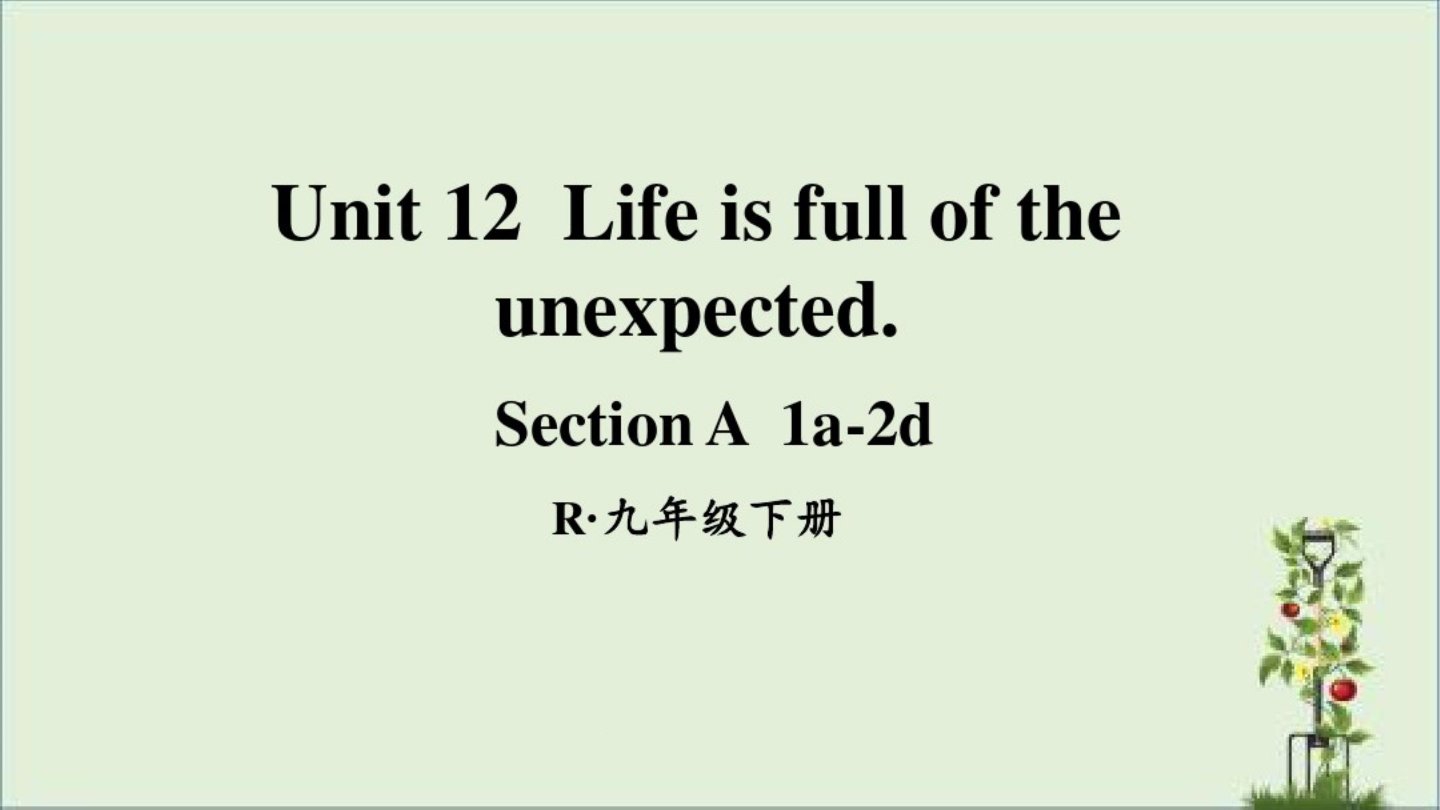 人教版初中九年级英语下册第十二单元Unit12教学ppt课件