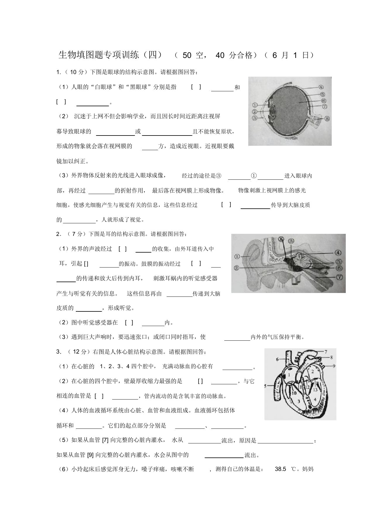 中考--生物填图题专项训练(四)--附答案