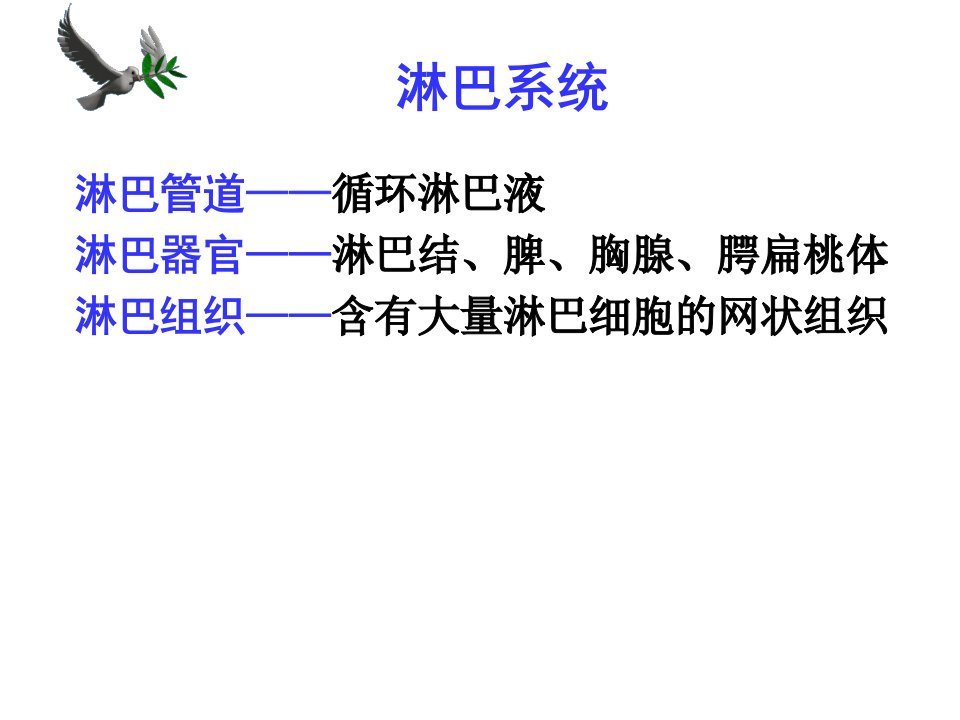 系统解剖学.淋巴内分泌系统wz