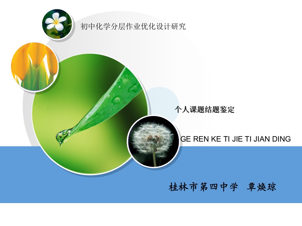 初中化学分层作业优化设计研究个人课题结题鉴定