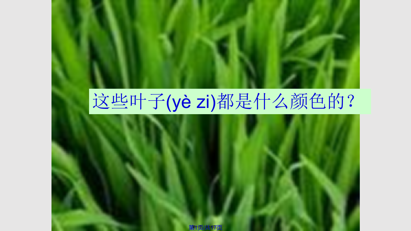 青岛小学科学四年级上植物叶二学习教案