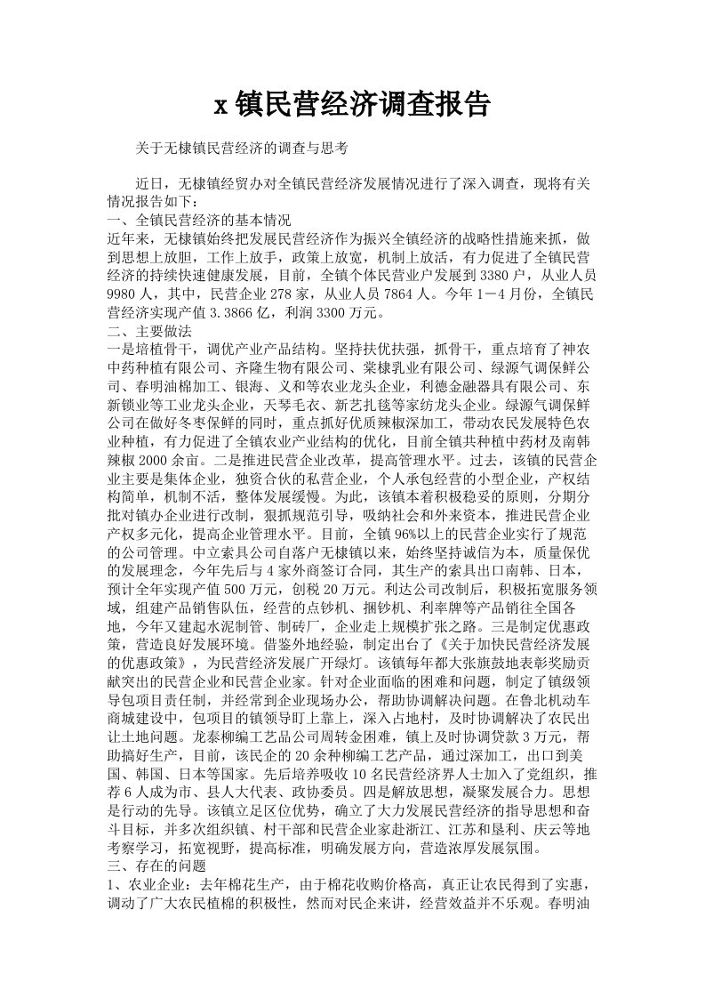 x镇民营经济调查报告