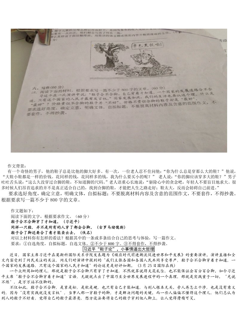 鞋子合不合脚穿了才知道作文归纳