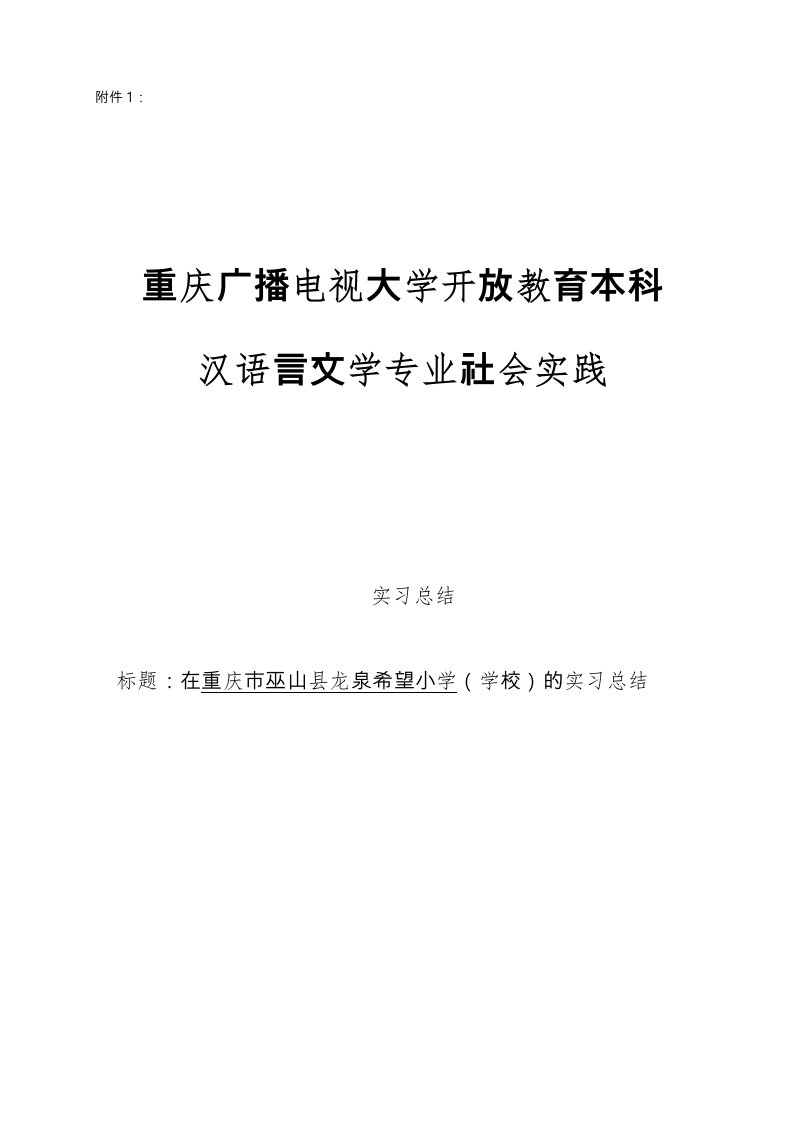 汉语言文学专业社会实践报告