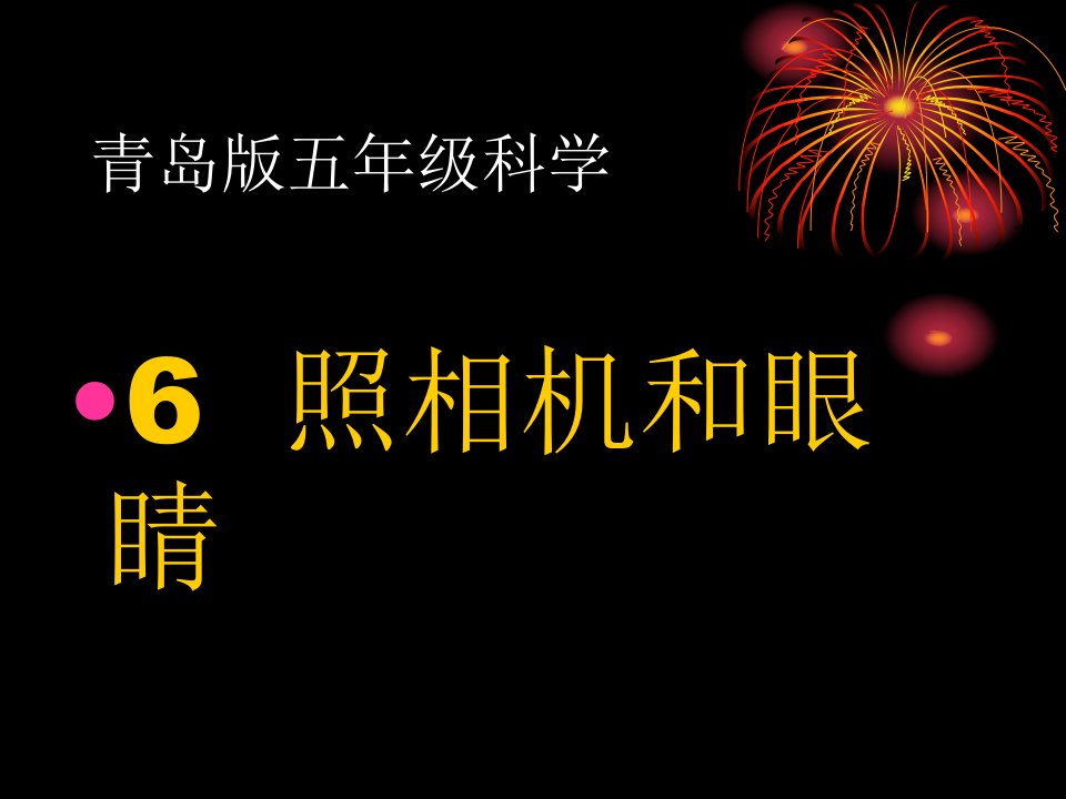 青岛版科学五下《照相机和眼睛》PPT课件1