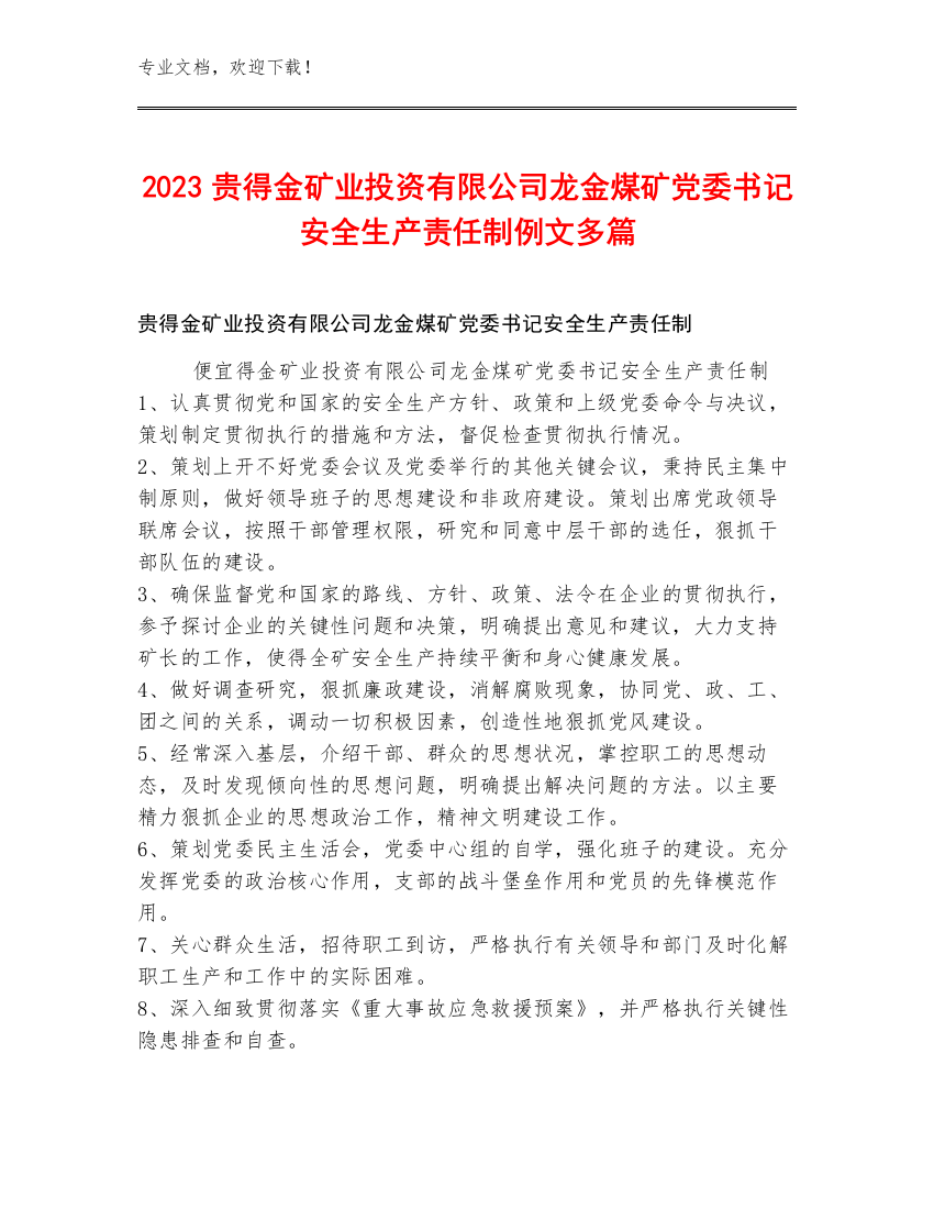 2023贵得金矿业投资有限公司龙金煤矿党委书记安全生产责任制例文多篇