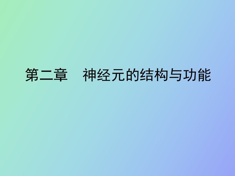 神经元的结构与功能