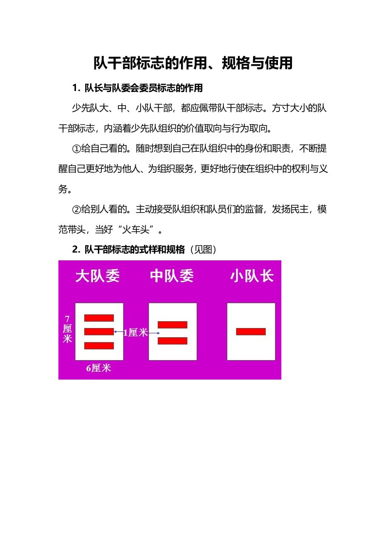 队干部标志的作用、规格与使用