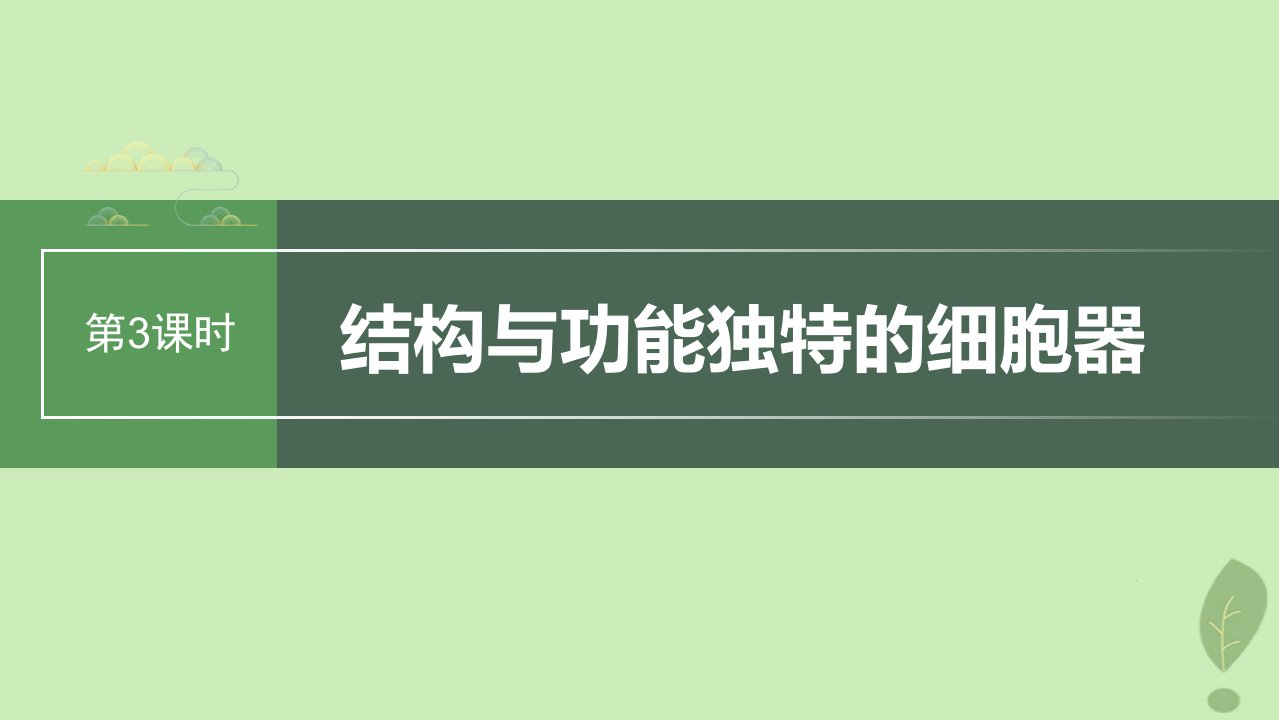 2024届高考生物一轮复习第二单元细胞的结构和生命活动第3课时结构与功能独特的细胞器课件苏教版